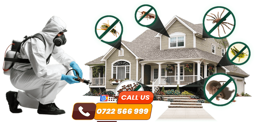 Fumigation Service Services in Nairobi, Kenya - Repair, Installation, Maintenance