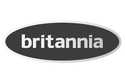 Britannia Cooker Hob Repairs