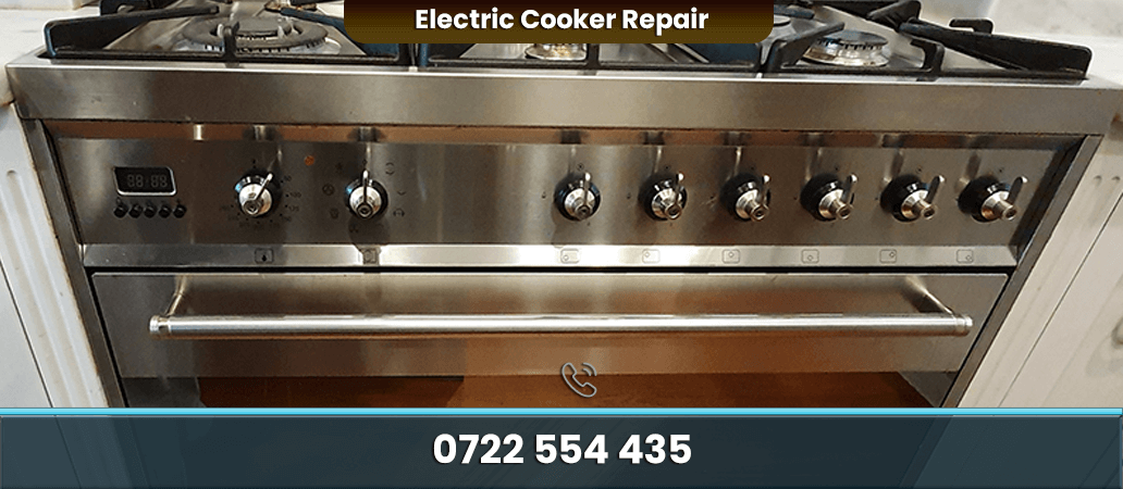 Electric Cooker Repair