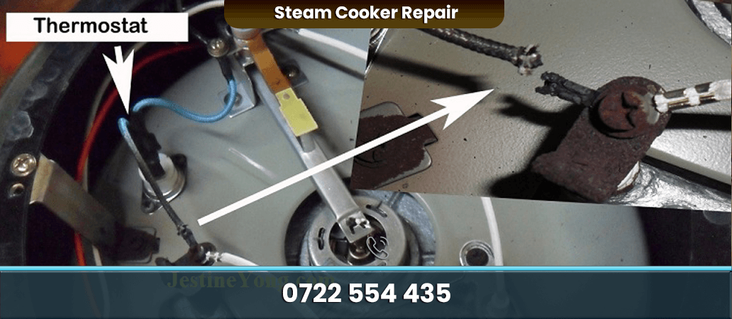 Steam Cooker Repair