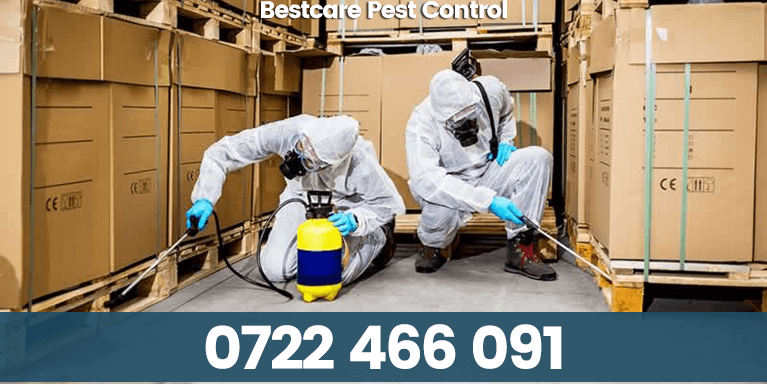 Pest Control in Nairobi, Kenya by Pest Control Kenya (pestcontrol.co.ke) — Imperial Appliances Kenya