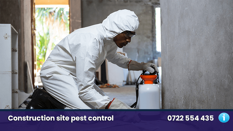 Pest Control And Fumigation Services 