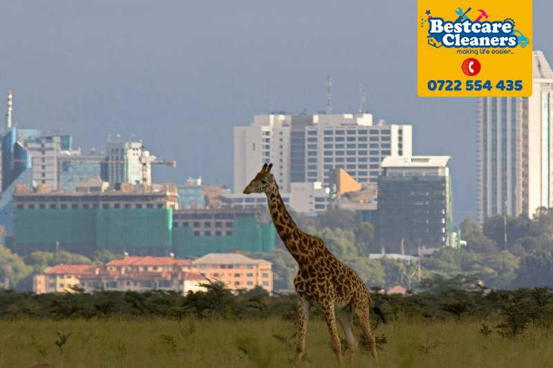 Nairobi Home Cleaning Services 2 home cleaning-services-company-for-all-estates-in-nairobi-county