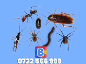 pest-control services services nairobi kenya